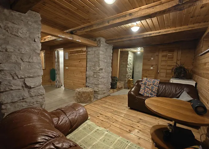 Alevi With Sauna * Tallin