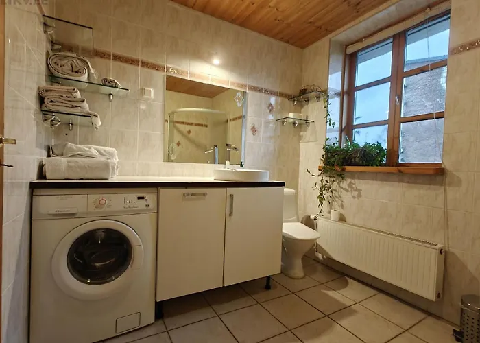 Alevi With Sauna تالين