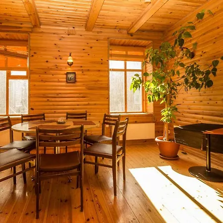 Alevi Holiday With Sauna *